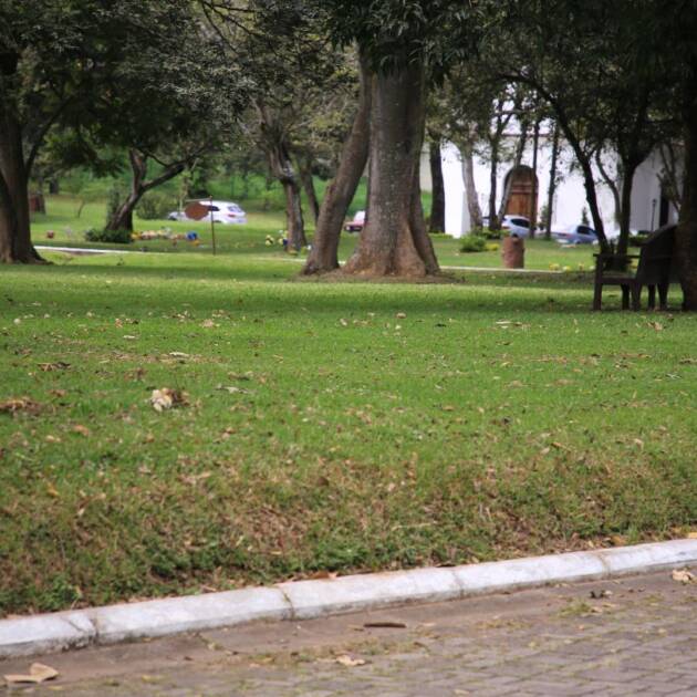 Jardines